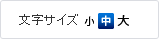 文字サイズ変更ボタン